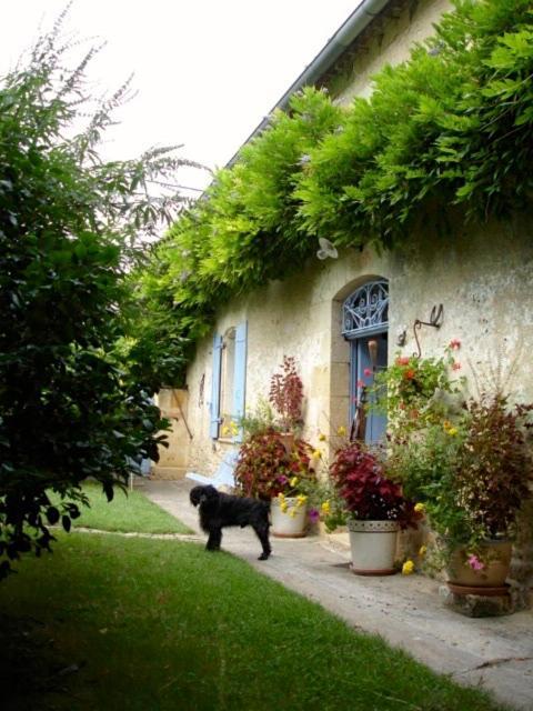 La Petite Provence De Touron Bed & Breakfast Pujols  Exterior photo
